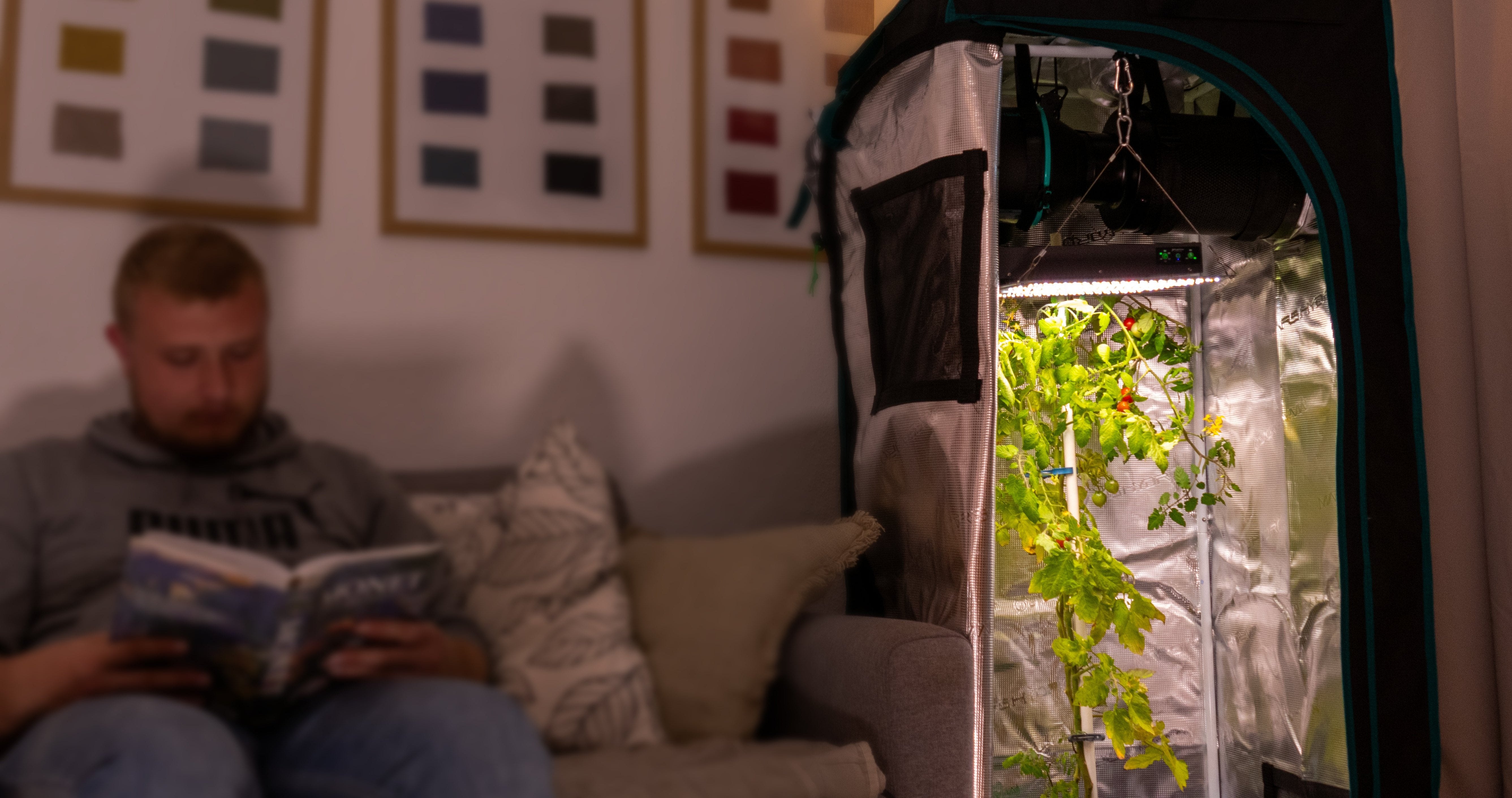 Ein Mann liest ein Buch neben einem Growzelt mit einer Pflanzenlampe.
