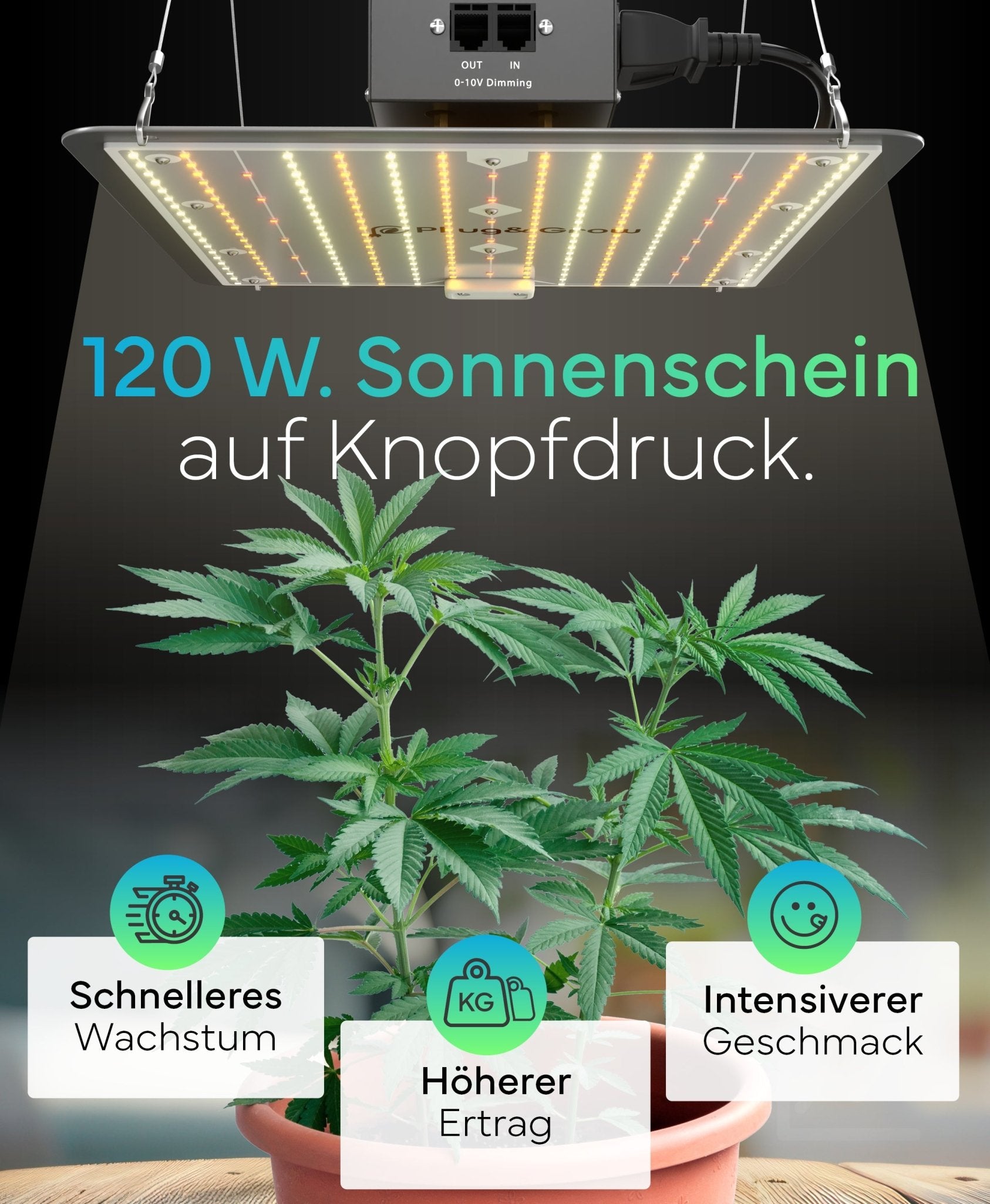 120 W - Vollspektrum LED Growlampe für 3 Pflanzen - Plug & Grow