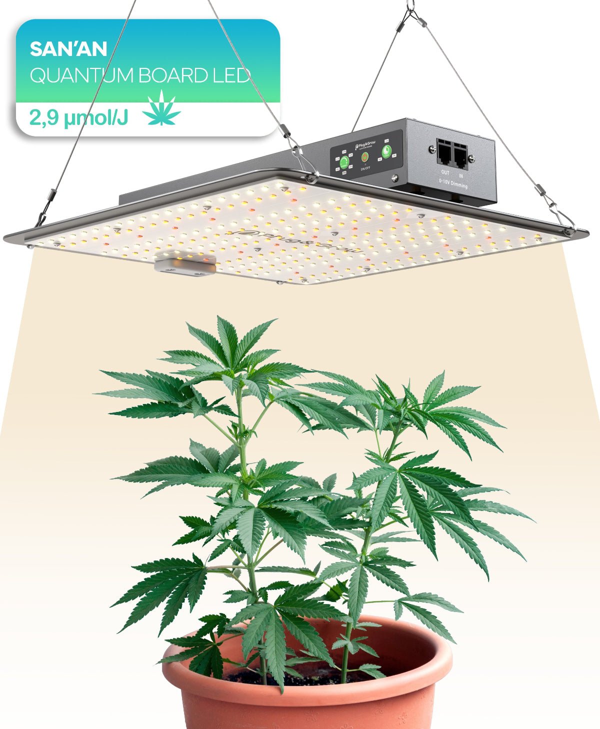 120 W - Vollspektrum LED Growlampe für 3 Pflanzen - Plug & Grow