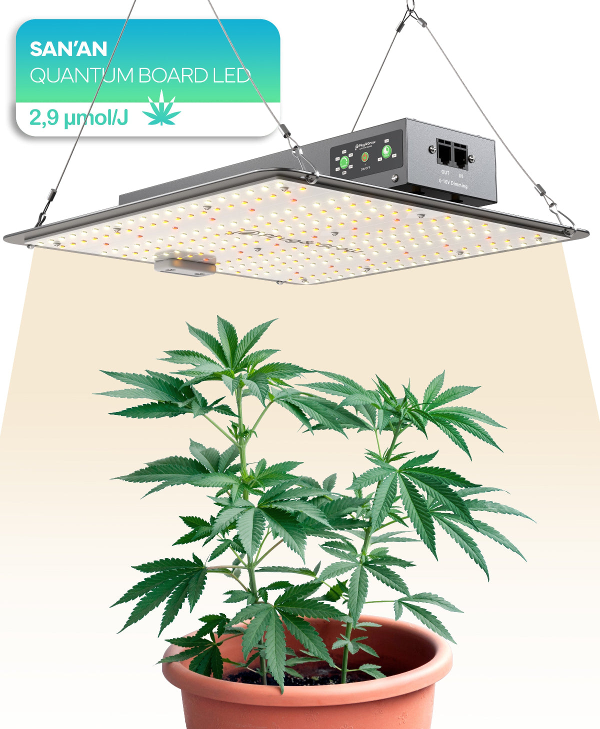 120 W - Vollspektrum LED Growlampe für 3 Pflanzen